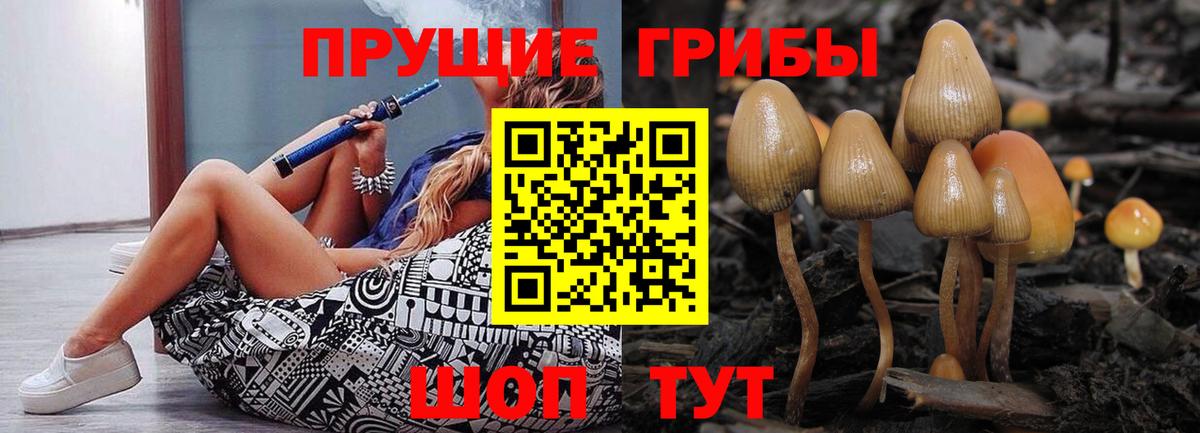 Галлюциногенные грибы GOLDEN TEACHER  Вход с VPN  хочу наркоту  Сегежа  Галлюциногенные грибы ЛСД 